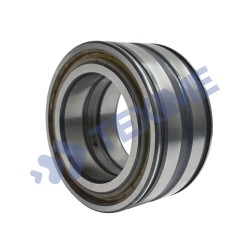 Roulement à rouleaux cylindriques SL08-024